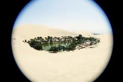 Ένα καταπράσινο «νησί» σε μια θάλασσα… άμμου!