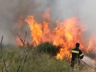 Φωτογραφία για Χανιά: Βρέθηκε μπουκάλι με εύφλεκτο υλικό - Εξετάζεται αν χρησιμοποιήθηκε ως εμπρηστικός μηχανισμός