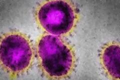 ΠΟΥ: Στους 30 οι νεκροί από το νέο κορονοϊό σε όλο τον κόσμο