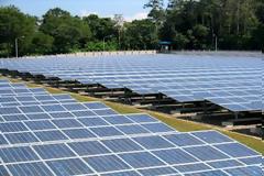 Ριζόμυλος Mαγνησίας: Φωτιά ξέσπασε σε αυτοκίνητο και επεκτάθηκε σε φωτοβολταϊκό πάρκο