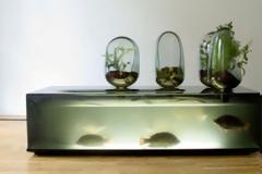 Ένα κλειστό οικοσύστημα στο σαλόνι σας