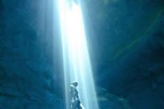 Μαγευτικές λήψεις από ελεύθερη κατάδυση στο Yucatan!