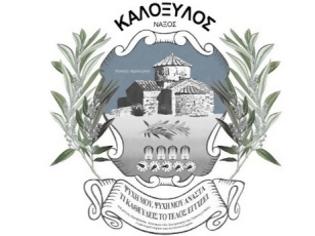 Φωτογραφία για Φεστιβάλ τεχνών Έλαια