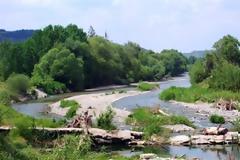 Απαγορεύεται η κυκλοφορία τη νύχτα στα δάση της Λακωνίας