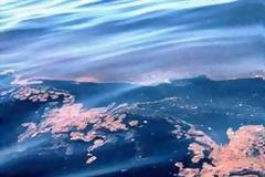 Πάτρα: Ποιες είναι οι πιθανές πηγές ρύπανσης σε Aγυιά, Δάφνες, Μποζαϊτικα