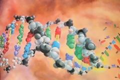 Οι νόμοι της βιολογίας στην κοινωνία