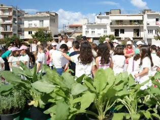 Φωτογραφία για Μια πρωτότυπη γιορτή ανταλλαγής φυτών με παιδιά!