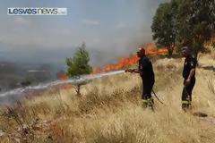 Φωτιά στην Αγία Τριάδα Καλλονής