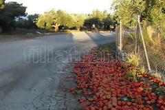 Φιλιατρά: Γέμισε ο δρόμος ντομάτες! Από τύχη δεν σημειώθηκε ατύχημα!