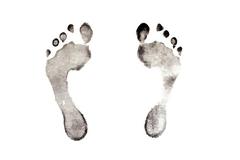 O πολιτισμός της Κρίσης,