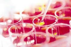 Είδε ξανά με δότρια οφθαλμικών βλαστοκυττάρων την αδελφή του