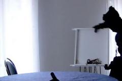 Κλέφτης με …ακριβά γούστα και πλούσιο βιογραφικό