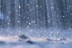 Ζημιές δισεκατομμυρίων στην ιταλική γεωργία