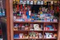 Ποιος το δίδαξε στη Γερμανίδα;