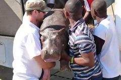 Δεν άντεχε το ταξίδι με το αυτοκίνητο!