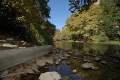 Αφύλακτο και αβοήθητο το Δάσος της Δαδιάς στον Έβρο