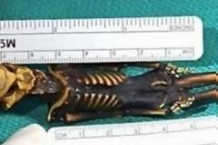 Τι έδειξε η εξέταση του DNA για τον εξωγήινο της Atacama