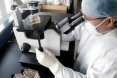 Δέκα ύποπτα κρούσματα του ιού της νέας άτυπης πνευμονίας SARS στην Φλωρεντία