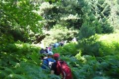 Περπάτησαν έξι ώρες στο δάσος για να προσκυνήσουν τον Άγιο Ιωάννη