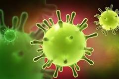 Απειλή για την ανθρωπότητα ο νέος θανατηφόρος κορονοϊός! - Ήρθε και στην Ευρώπη