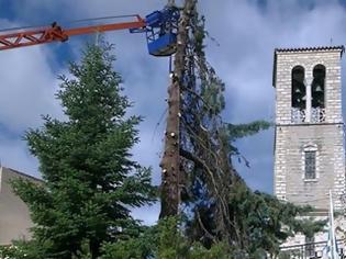 Φωτογραφία για Καρπενήσι: Αντιδράσεις για την κοπή του δέντρου στην πλατεία