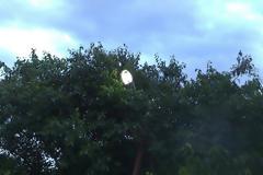 Παίρνουν μπρος τα έργα στο Καταφύγιο