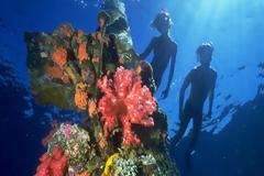 Μακάβρια ευρήματα και ένας στόλος φάντασμα στο μεγαλύτερο ναυάγιο του κόσμου