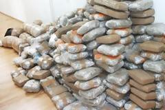 Πάνω από 520 κιλά κάνναβης κατασχέθηκαν από αποθήκη στη Χαλκίδα