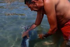 Ένα τεράστιo τραυματισμένο καλαμάρι περιέθαλψαν λούμενοι!