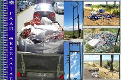 Καρδίτσα: Είχε ρημάξει τους μετασχηματιστές και τα καλώδια της ΔΕΗ