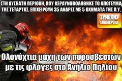 Ολονύχτια μάχη των πυροσβεστών με τις φλόγες στο Ανήλιο Πηλίου