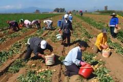 500.000 ευρώ θα κάνουν «φτερά» από την Ηλεία! - Ψάχνουν τους δικαιούχους επιδοτήσεων