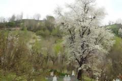 Ξεθάβουν πτώματα για να πάρουν λεφτά από εταιρεία χρυσού!