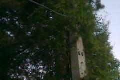 Στο έλεος του θεού το Βοτάνι