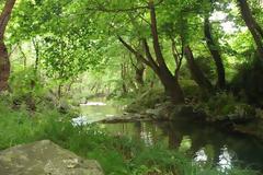 Η 5η Ιουνίου αλλά και η κάθε μέρα να είναι Παγκόσμια Ημέρα για την προστασία του Περιβάλλοντος