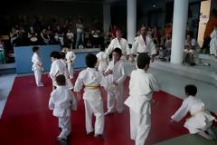 Τμήμα Αθλητισμού Δήμου Αμαρουσίου