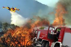 Φθιώτιδα: Μεγάλη φωτιά σε εξέλιξη στο Πουρνάρι Δομοκού