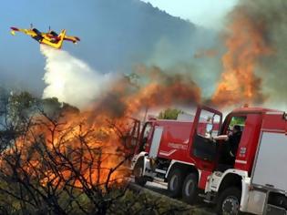 Φωτογραφία για Φθιώτιδα: Μεγάλη φωτιά σε εξέλιξη στο Πουρνάρι Δομοκού