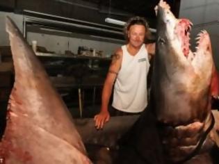 Φωτογραφία για Έπιασαν τον μεγαλύτερο ρυγχοκαρχαρία στον κόσμο
