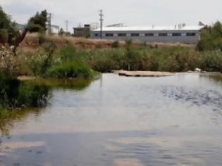 Φωτογραφία για Παραβίαση ανθρωπίνων δικαιωμάτων στον Ασωπό