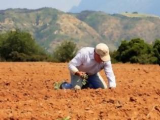 Φωτογραφία για Εξι αγρότες στο Σχηματάρι χρωστάνε 11,5 εκατ. ευρώ στο Δημόσιο!