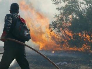 Φωτογραφία για Στις φλόγες η Κρήτη - Μεγάλη φωτιά στο Ρέθυμνο και στο Ηράκλειο