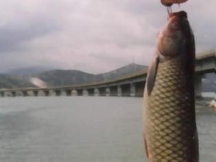 Φωτογραφία για Στην…Αστυνομία 16 αλιείς που ψάρευαν παράνομα στη γέφυρα της λίμνης Πολυφύτου