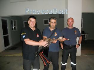 Φωτογραφία για Πρέβεζα: Έναν απρόσμενο επισκέπτη δέχτηκε η Πυροσβεστική Υπηρεσία