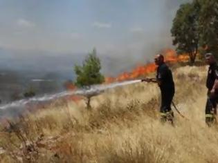 Φωτογραφία για Φωτιά από κεραυνό στη Χαλκιδική