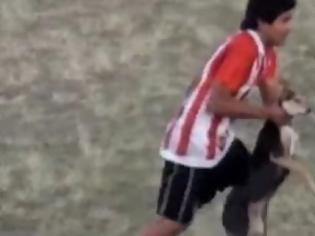 Φωτογραφία για Ποδοσφαιριστής έπιασε σκύλο που μπήκε στο γήπεδο και τον πέταξε στα κάγκελα! [video]