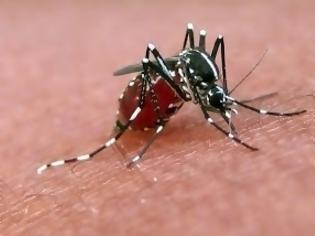 Φωτογραφία για Συστάσεις ΚΕΕΛΠΝΟ για ατομικά μέτρα προστασίας από τα κουνούπια