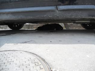 Φωτογραφία για Πρέβεζα: Αυτοκίνητο έσερνε σκυλάκι για 100 μέτρα!