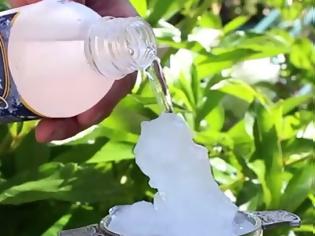 Φωτογραφία για Πως να μετατρέψετε το νερό σε πάγο με μια κίνηση [Video]
