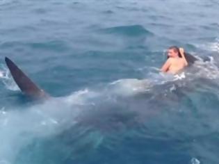 Φωτογραφία για VIDEO: Βούτηξε στο νερό και καβάλησε ένα φαλαινοκαρχαρία!